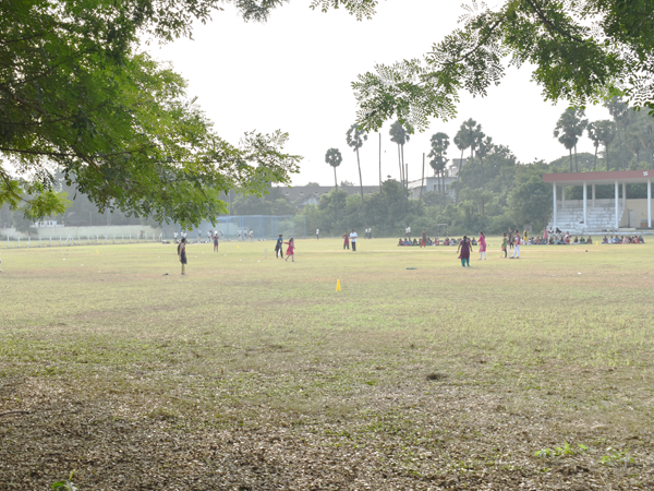 Play Ground